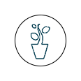 feather icon